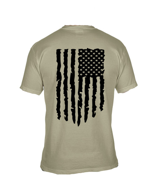 Sandstone American Flag